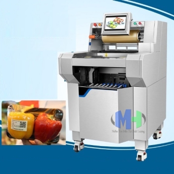 Máy Bọc Màng Thực Phẩm Tự Động (MHĐG-C27)